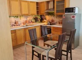 Cozy one bedroom apartment in city center