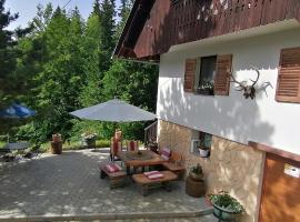 APARTMENT CHALET -BOHINJ- Pokljuka- Triglav National Park, hotell i Koprivnik v Bohinju