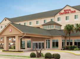 Hilton Garden Inn Houston/Clear Lake NASA, cheap hotel in Webster