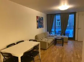 Leilighet midt i Oslo sentrum 2 soverom og stue