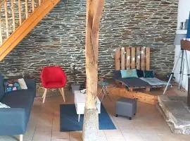 Les hortensias de Stéfanick