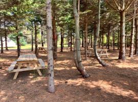 The Red Fox Campground, glamping site in Brackley Beach