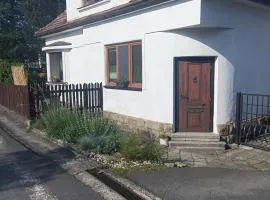 APP pod borovou