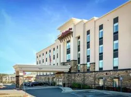 Hampton Inn Emerson - Lakepoint, Ga