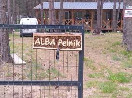 ALBA Pelnik domki holenderskie, cottage in Pelnik