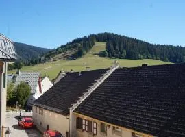 Appartement cosy à Autrans, 4 pers, proche ski - FR-1-737-18