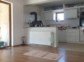 Fancy house