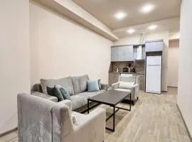 Apartment In Yerevan on Amiryan Street