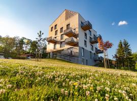 Apartmán Jesienka, Hillside, gæludýravænt hótel í Dolný Kubín