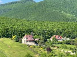 The Mountain Cottage - Hegyi kuckó, hotel i Bükkzsérc