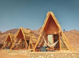 Aladdin Camp