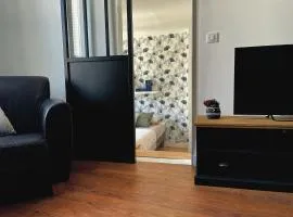 Appartement cosy et lumineux centre-ville #4