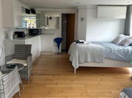 Lovely studio cabin. Hot tub ex £40 per night, hotel v mestu Poole