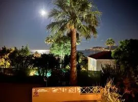 Cannes Villa Francia