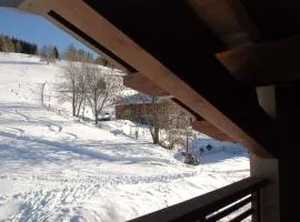 LA PLAGNE MONTALBERT Chalet - fitness - wifi