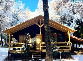Cabañas Bosque las Trancas, chata v destinaci Las Trancas