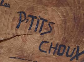 Gîte Les ptits choux，Saint-Quentin-Lamotte-Croix-au-Bailly的便宜飯店