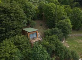 Tree House San Giorgio, B&B din Solagna