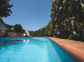 Labyrinth. The Wild life of Crete