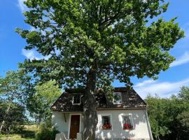 Willa Pod Dębem, cabin in Koczarki