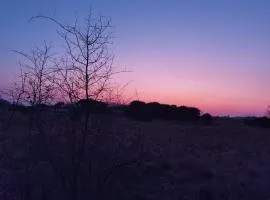 Kings View Exclusive Villas (KVEV)