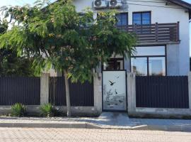 Casa Amina, family hotel in Sulina