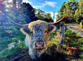 Wallabies, parrots, farm animals, hotel di St Helens