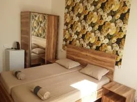 Guest House Buche 219