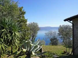 Ville in uliveto vista lago - VILLA CASALIVA
