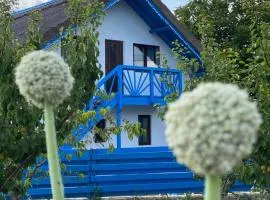 Casa Enisala