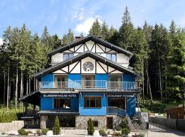 Blueberryhouse, hotell i Bukovel