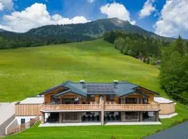 Dachstein Chalet