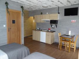 Hotel Apartamenty 72, hotell sihtkohas Płock