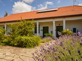 Barta Pince Vendégház Mád, rumah tamu di Mád