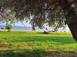 Beachfront apartment 10m from the beach