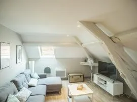 Le Cosy Tannerie - Hypercentre - Climatisé