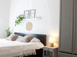 3 bedroom apartment near the city center