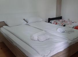 Apartman TATTOO R: Negotin şehrinde bir otel