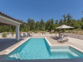 Villa Aria, Hotel in Bibići