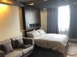 Cozy Apartment for travelers and homestays