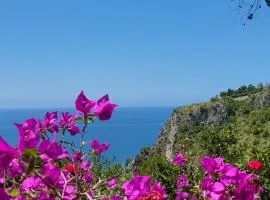 Sapore di Mare