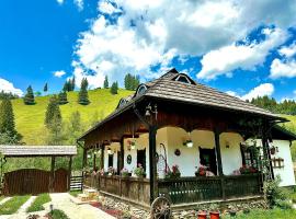 Casa Gabriel, property with onsen in Frumosu