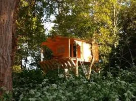 Cabane Dans Les Arbres Avec Bain Nordique