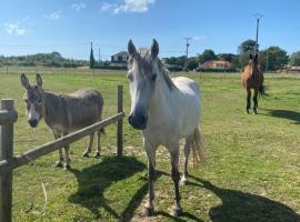 gite l'etoile de mer, hotel u gradu E