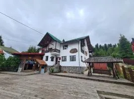 Vila Vitalis