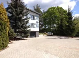 Willa Na Skraju Puszczy
