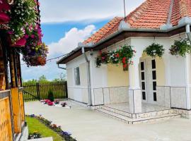 Casa Maria Platoul Luncanilor, casa rural en Luncani