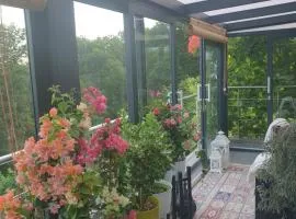 Cozy room with a beautiful garden view