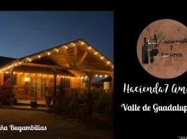 HACIENDA 7 AMORES