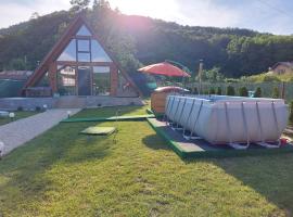 Cabana A-frame Nis, holiday rental in Coţofăneşti